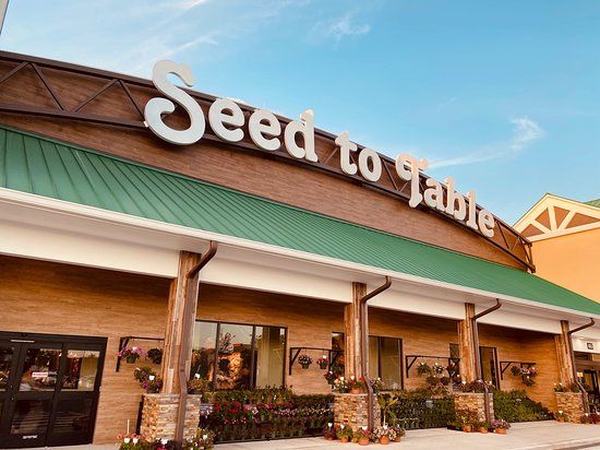 Architecture Comercial, Retail Design and Construction by Grupo Arquimagenes